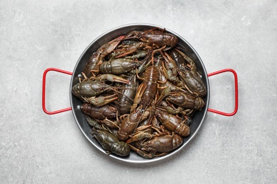 Photo of Fresh raw crayfishes on grey table, top view