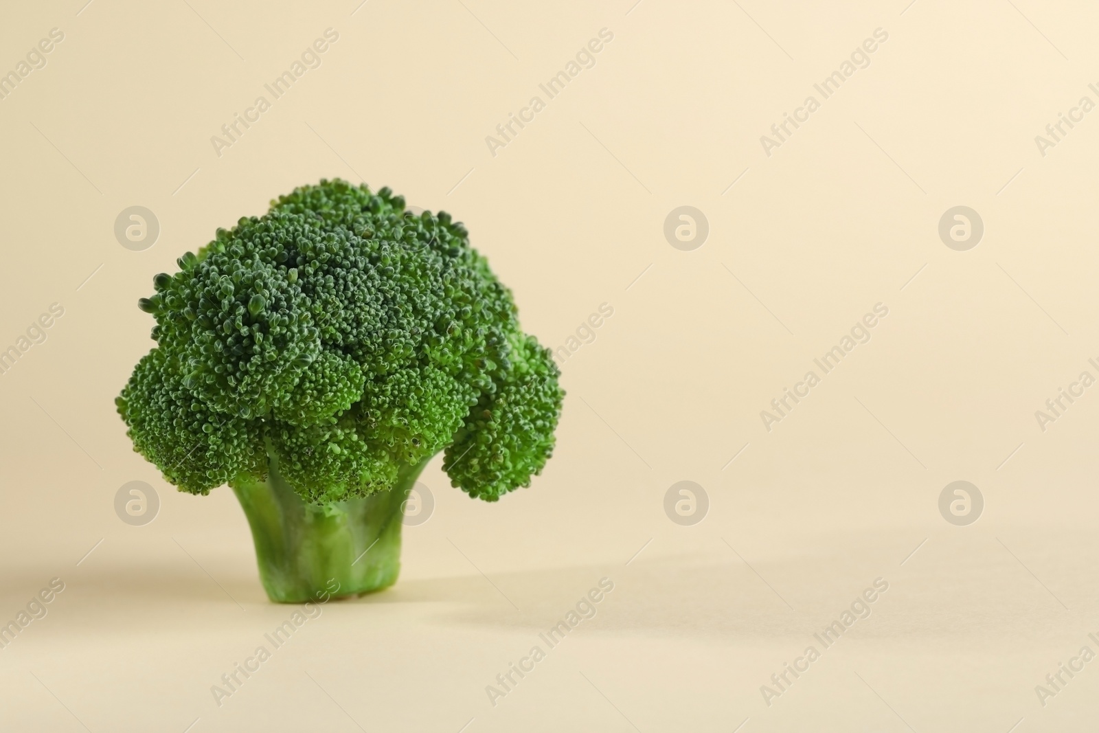 Photo of Fresh raw broccoli on beige background, closeup. Space for text