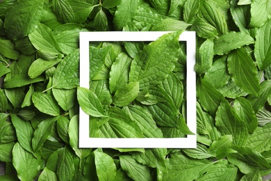 Photo of Paper frame on spring green leaves, top view