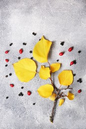 Branch with yellow leaves and berries on grey textured table, flat lay