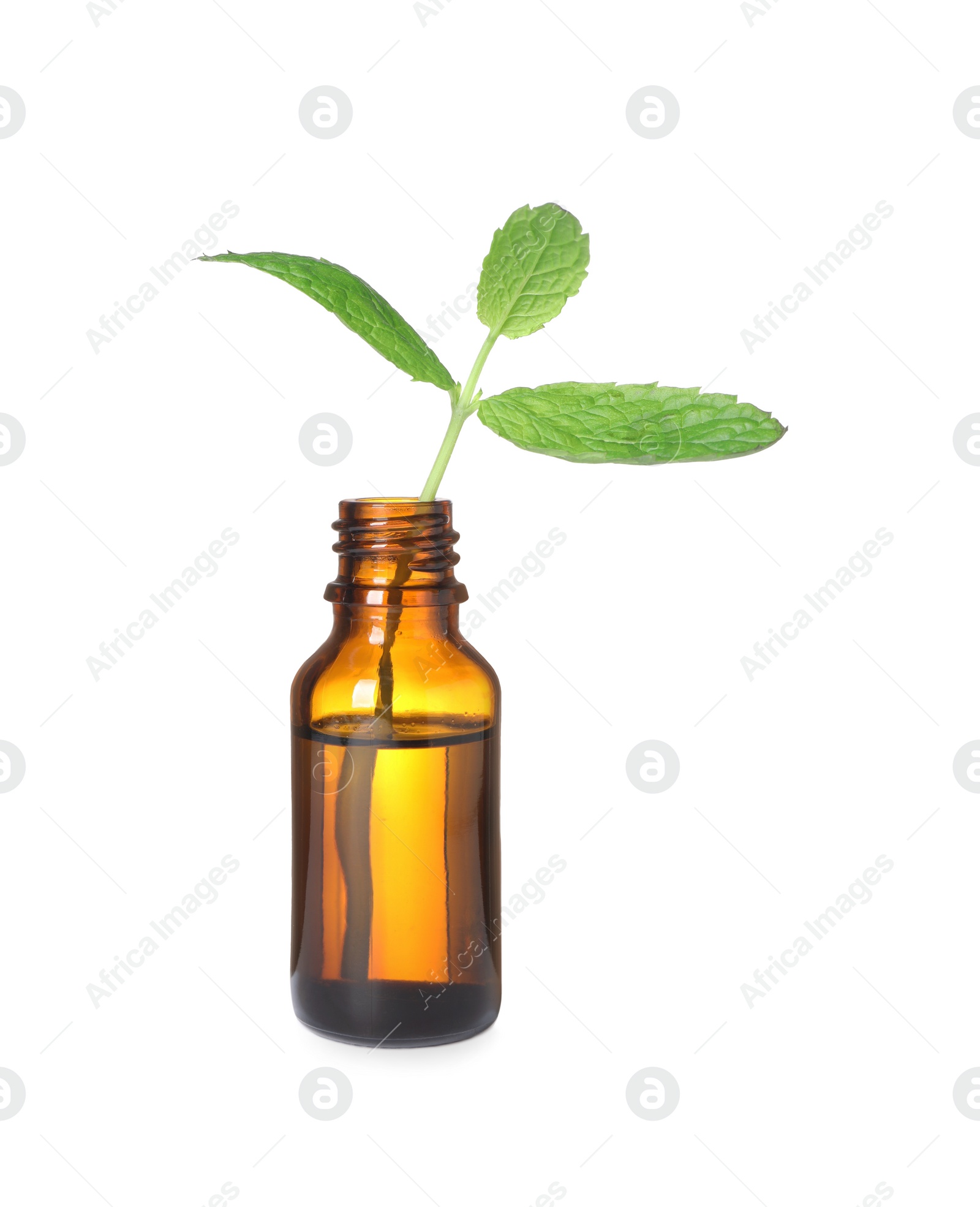 Photo of One bottle with essential oil and mint isolated on white