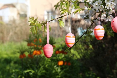 Beautifully painted Easter eggs hanging on blooming tree outdoors, closeup