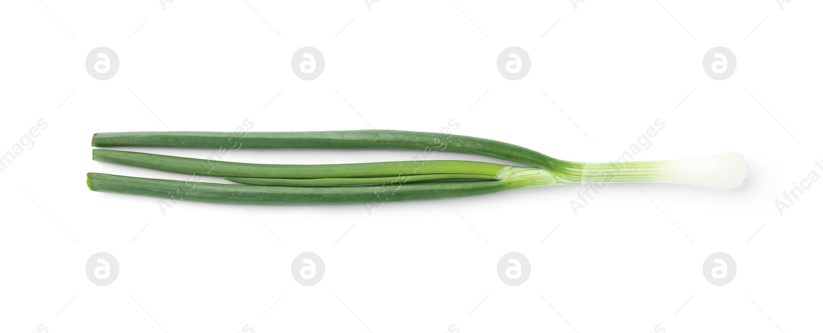 Photo of Fresh green spring onion isolated on white