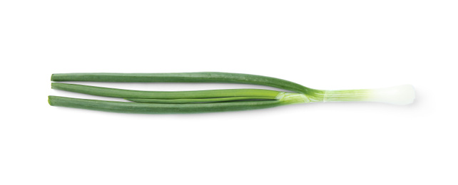 Photo of Fresh green spring onion isolated on white