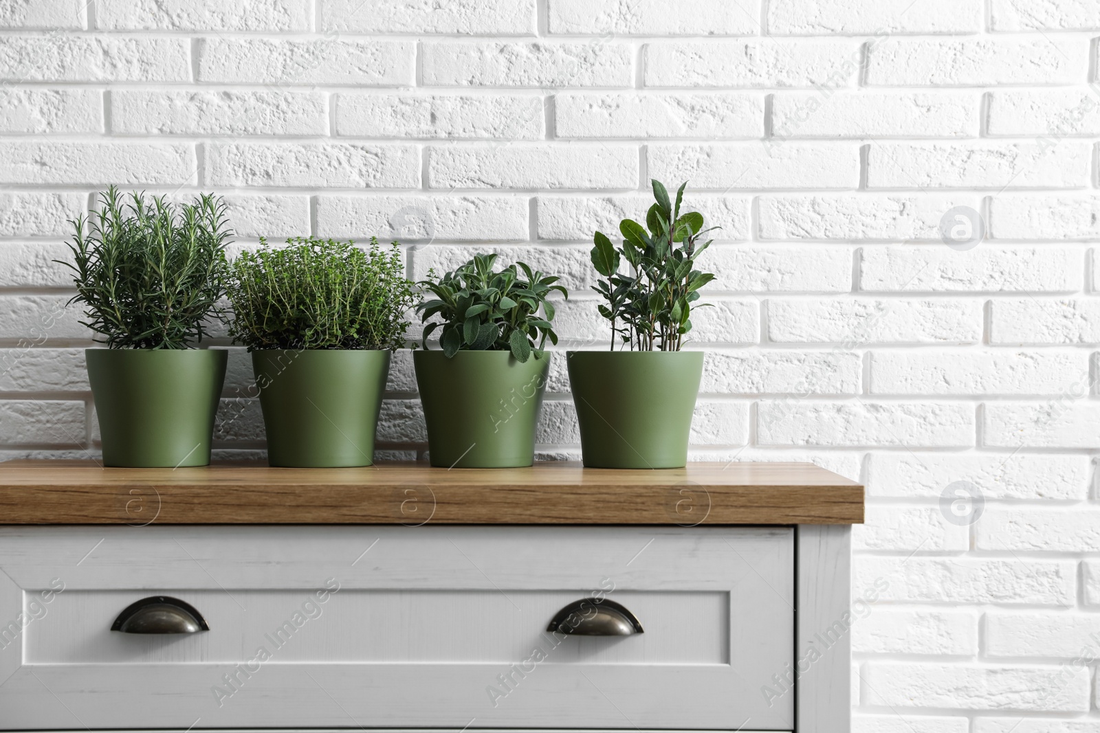 Photo of Different aromatic potted herbs on chest of drawers near white brick wall