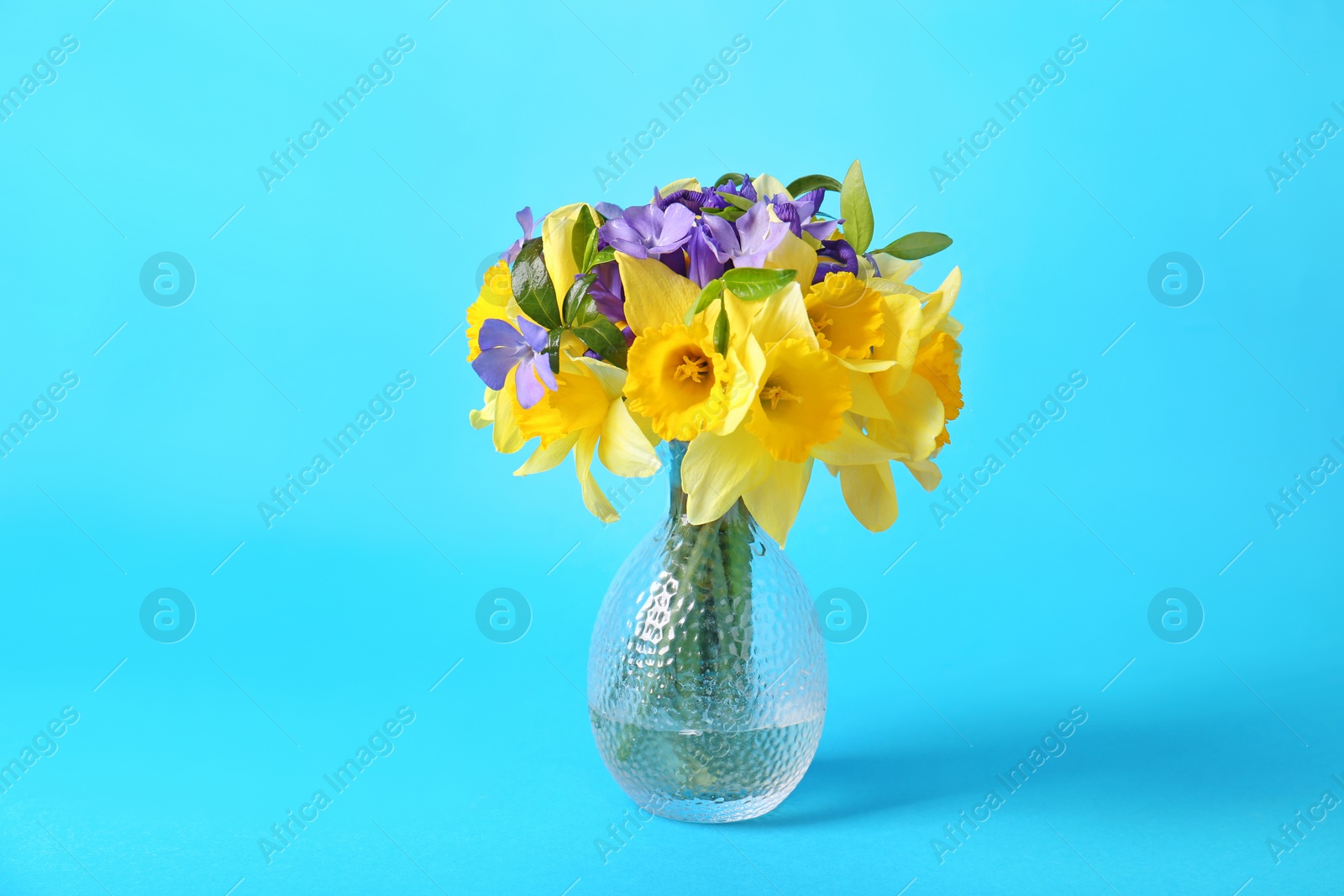 Photo of Bouquet of beautiful yellow daffodils, iris and periwinkle flowers in vase on light blue background