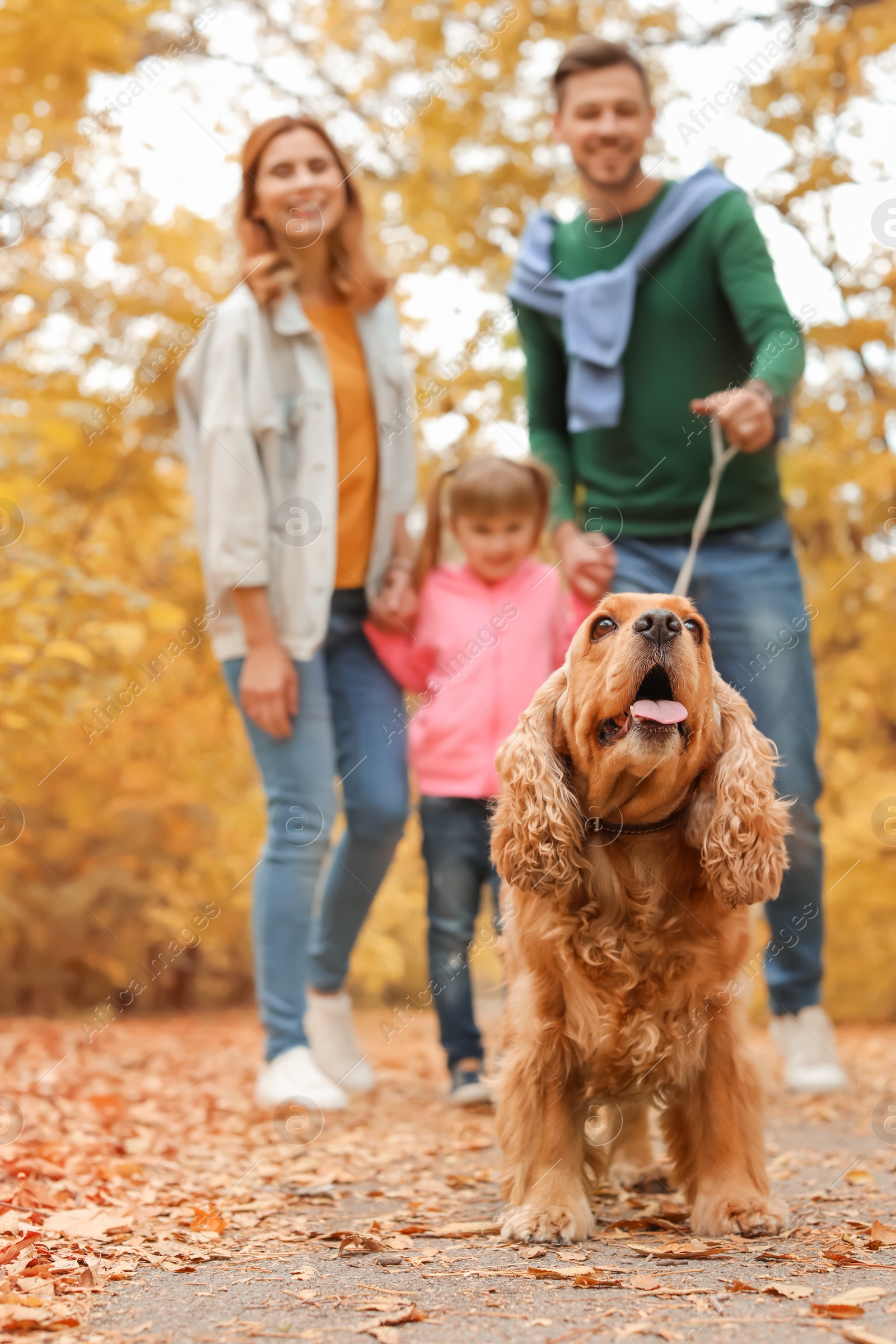 Photo of Happy family with child and dog in park. Autumn walk