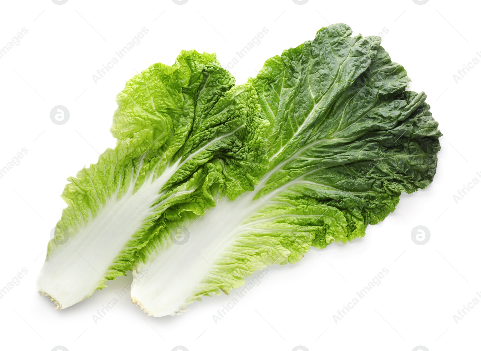 Photo of Leaves of Chinese cabbage on white background