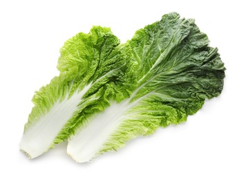 Leaves of Chinese cabbage on white background