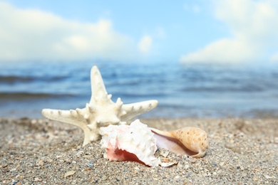 Photo of Beautiful shells and starfish on sand near sea, space for text. Beach objects