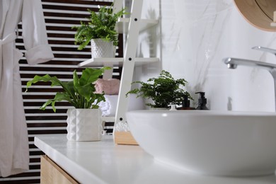 Photo of Beautiful green ferns and toiletries in bathroom