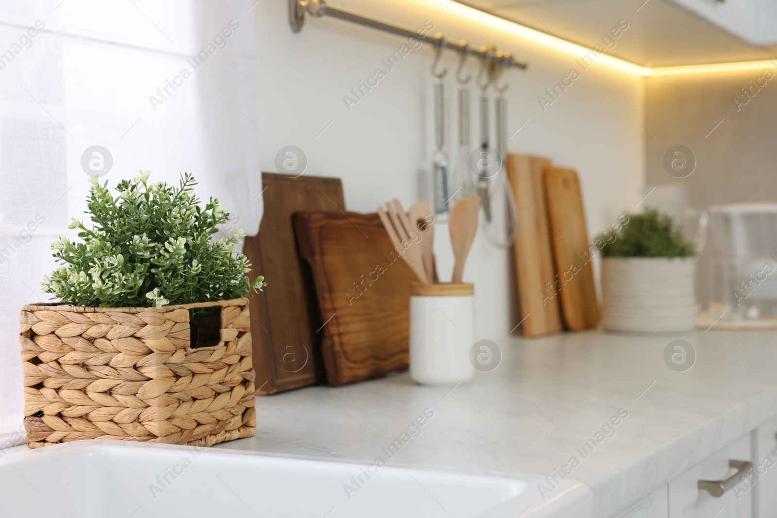 Photo of Beautiful potted artificial plant on countertop in kitchen, space for text. Home decor