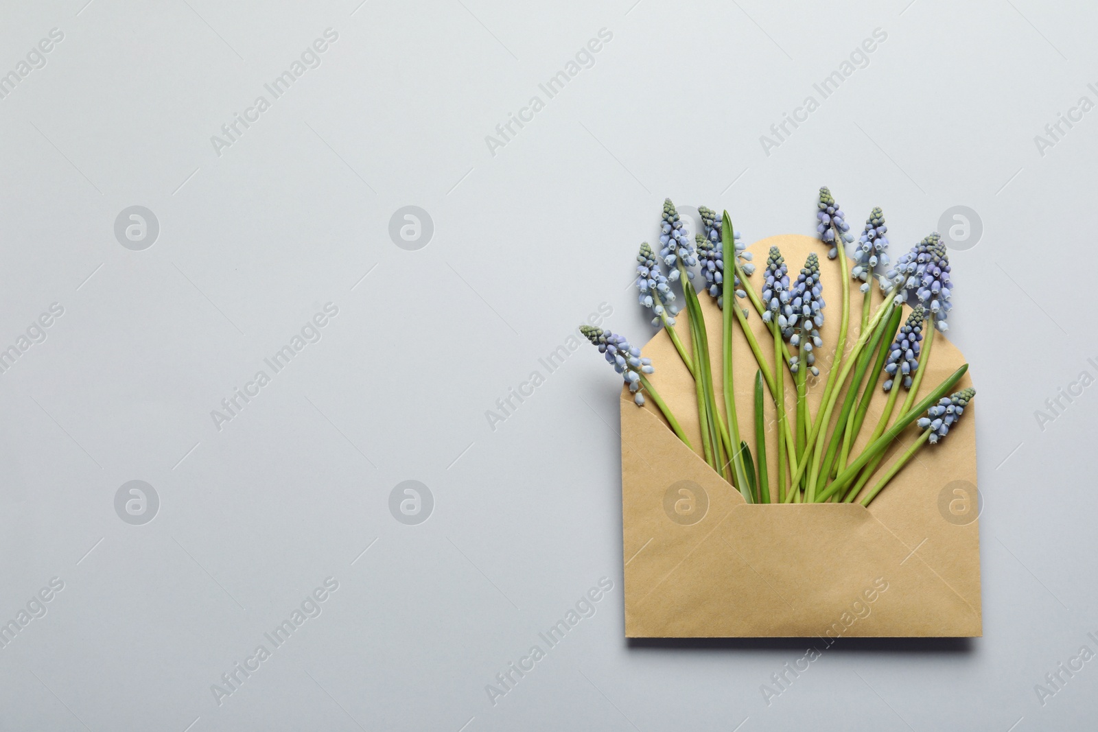 Photo of Envelope with beautiful spring muscari flowers on light background, flat lay. Space for text