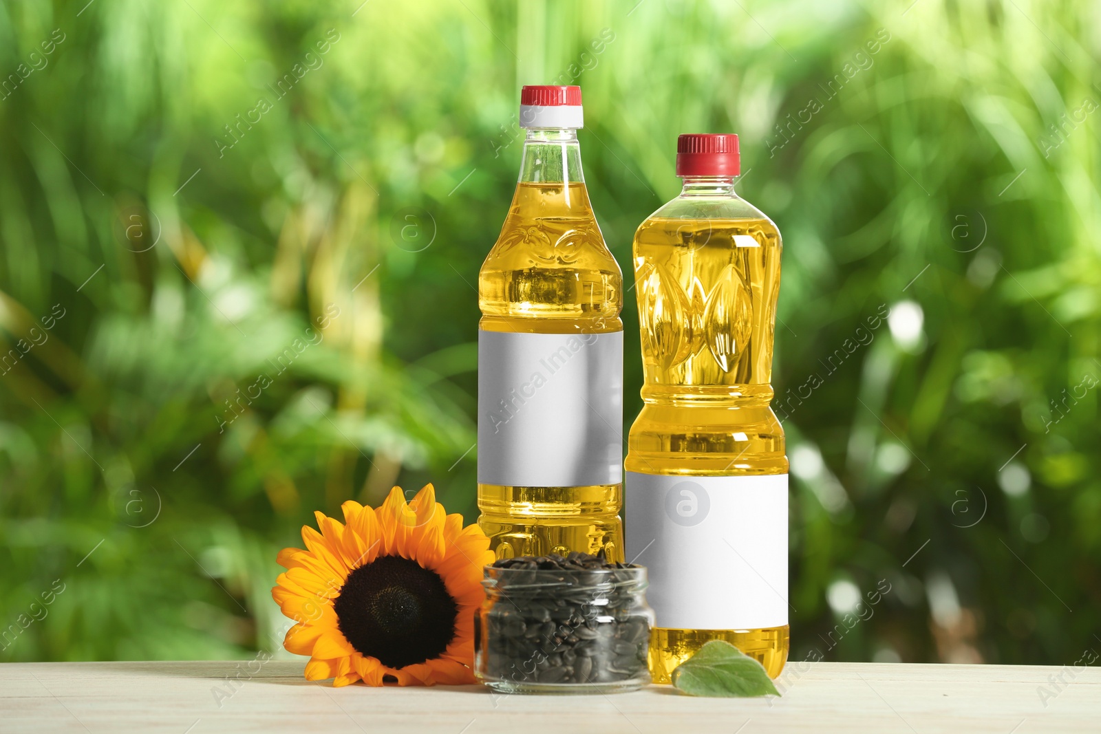 Photo of Bottles of sunflower cooking oil, seeds and yellow flower on white wooden table outdoors