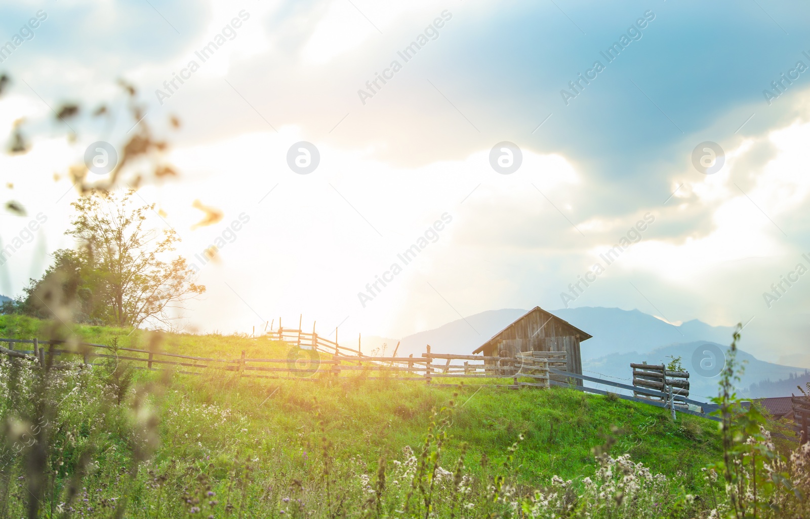 Photo of Picturesque view of secluded village on mountain slopes