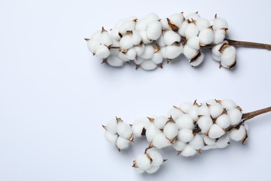 Photo of Branches with cotton flowers on white background, top view. Space for text