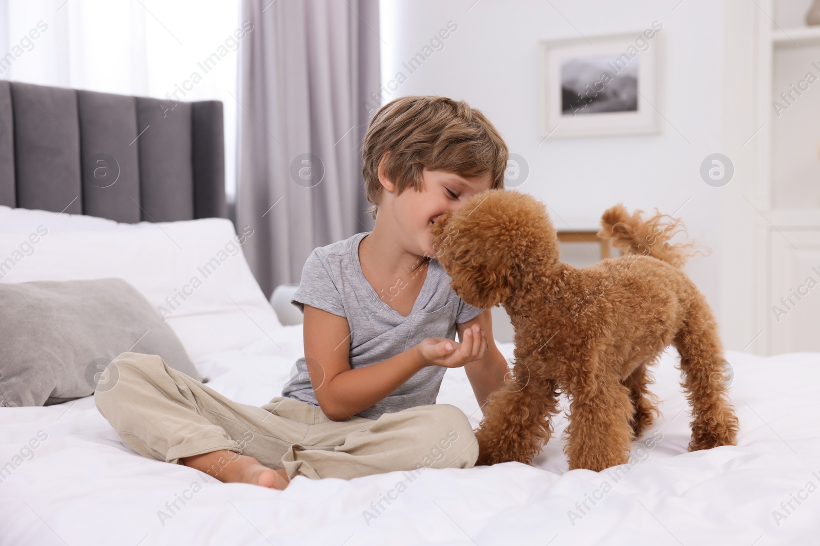 Photo of Little child and cute puppy on bed at home. Lovely pet