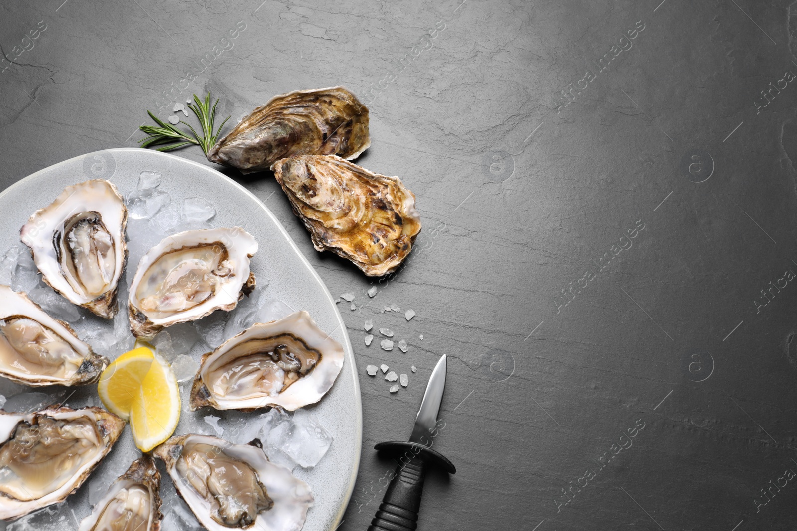 Photo of Delicious fresh oysters with lemon slices served on black slate table, flat lay. Space for text