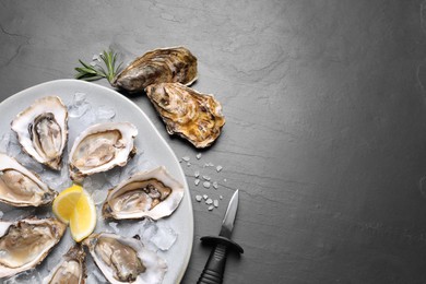 Delicious fresh oysters with lemon slices served on black slate table, flat lay. Space for text