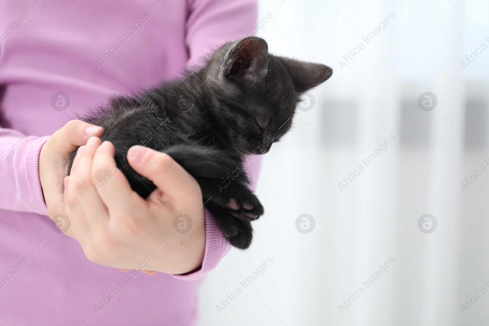 Photo of Little girl with cute fluffy kitten indoors, closeup. Space for text