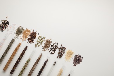 Photo of Test tubes with various spices on white background, flat lay. Space for text