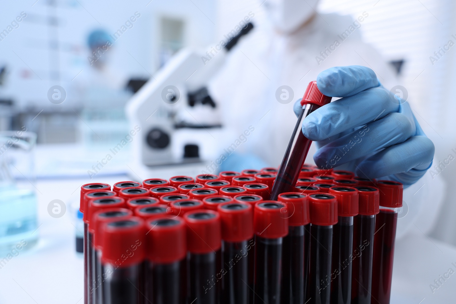 Photo of Scientist working with samples in test tubes in laboratory, closeup