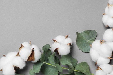 Photo of Cotton flowers and eucalyptus leaves on grey background, flat lay. Space for text