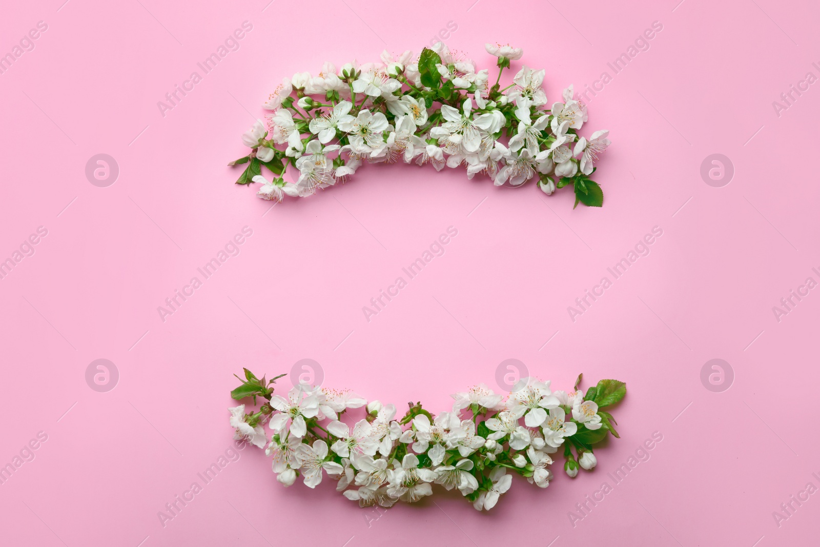 Photo of Flat lay composition of beautiful fresh spring flowers on color background, space for text