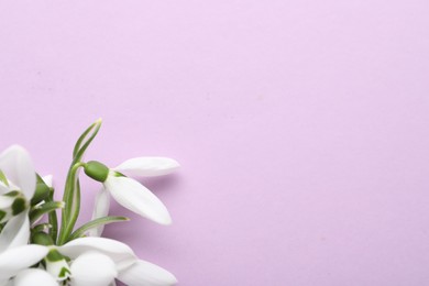 Photo of Beautiful snowdrops on lilac background, top view. Space for text