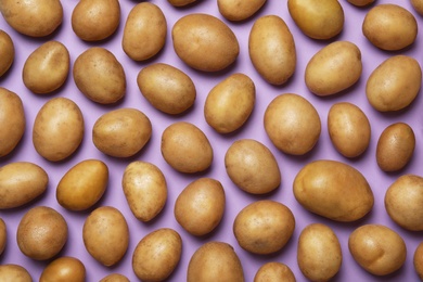 Photo of Raw fresh organic potatoes on violet background, flat lay