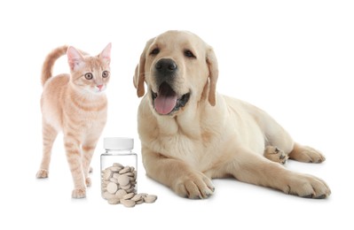Vitamins for pets. Cute dog with cat and pills on white background