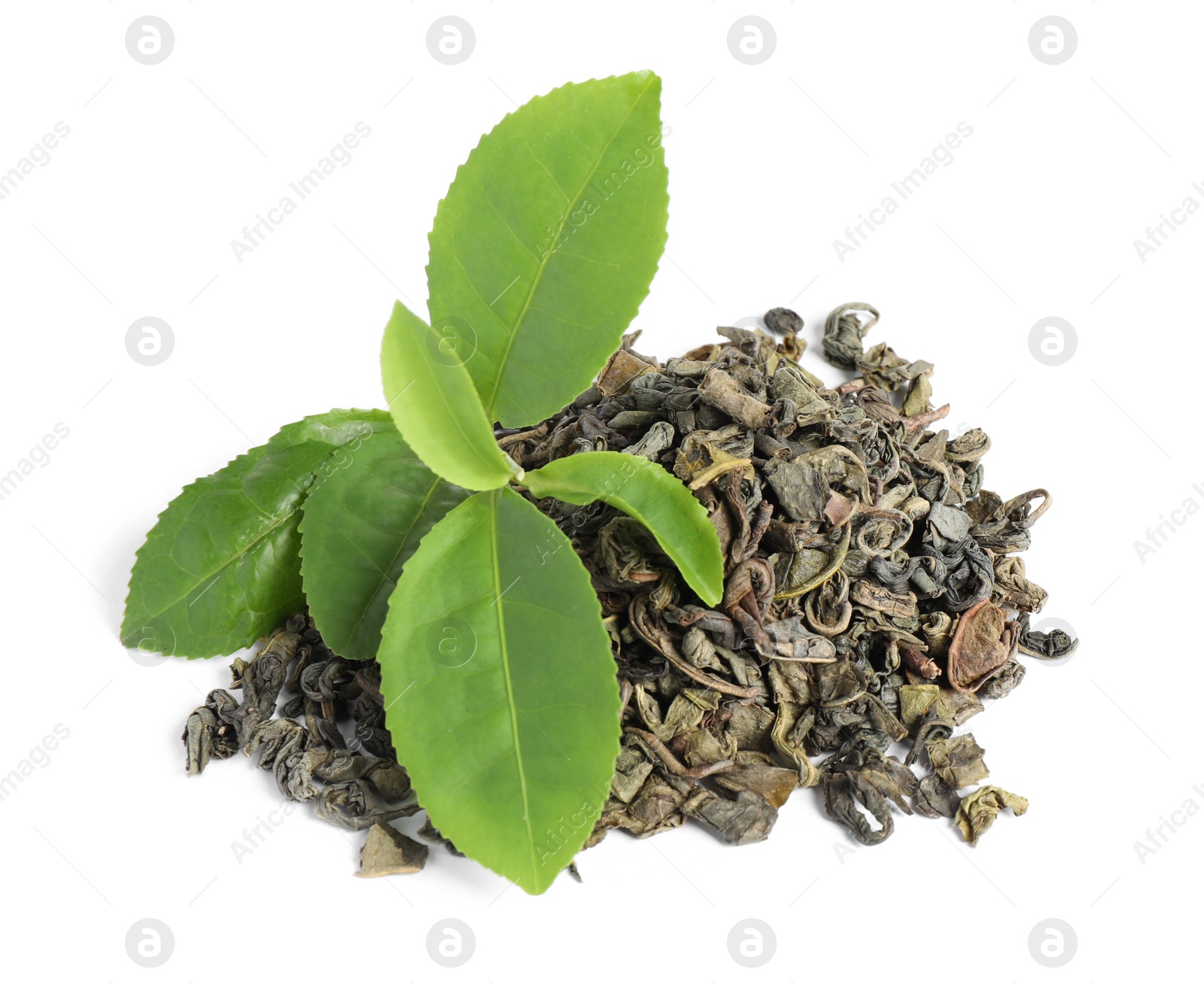 Photo of Dry and fresh tea leaves isolated on white