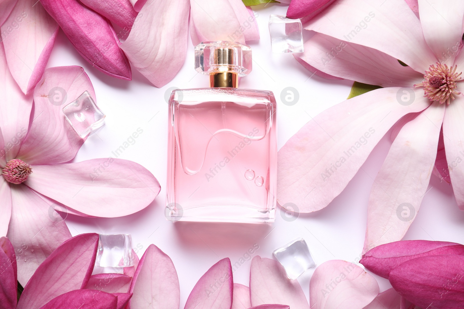 Photo of Beautiful pink magnolia flowers, bottle of perfume and ice cubes on white background, flat lay