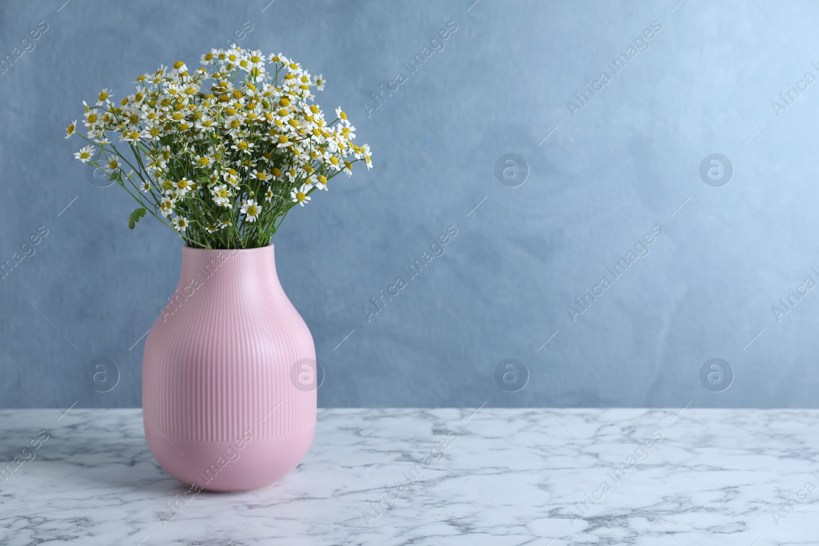Photo of Vase with beautiful chamomile flowers on white marble table. Space for text