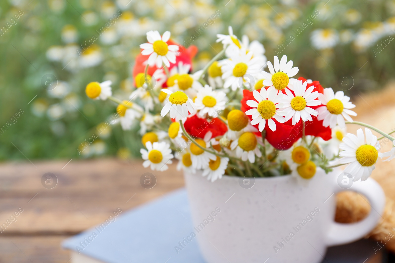 Photo of Cup with chamomiles and poppies on table outdoors