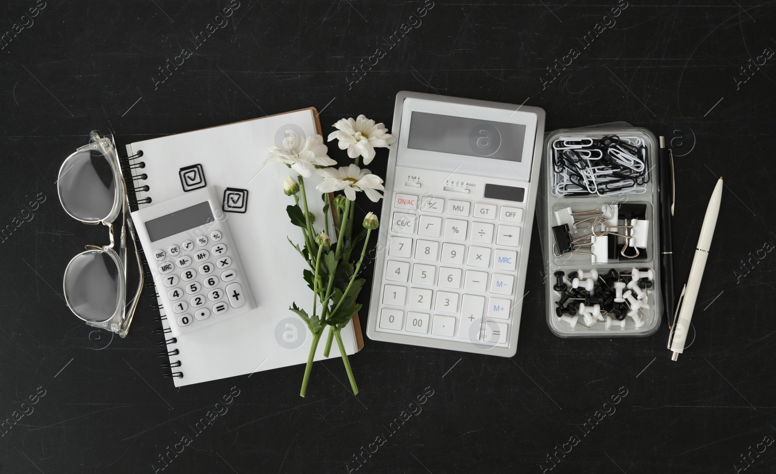 Photo of Different school stationery and beautiful white flowers on blackboard, flat lay. Happy Teacher's Day