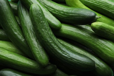 Photo of Many fresh green cucumbers as background, closeup view