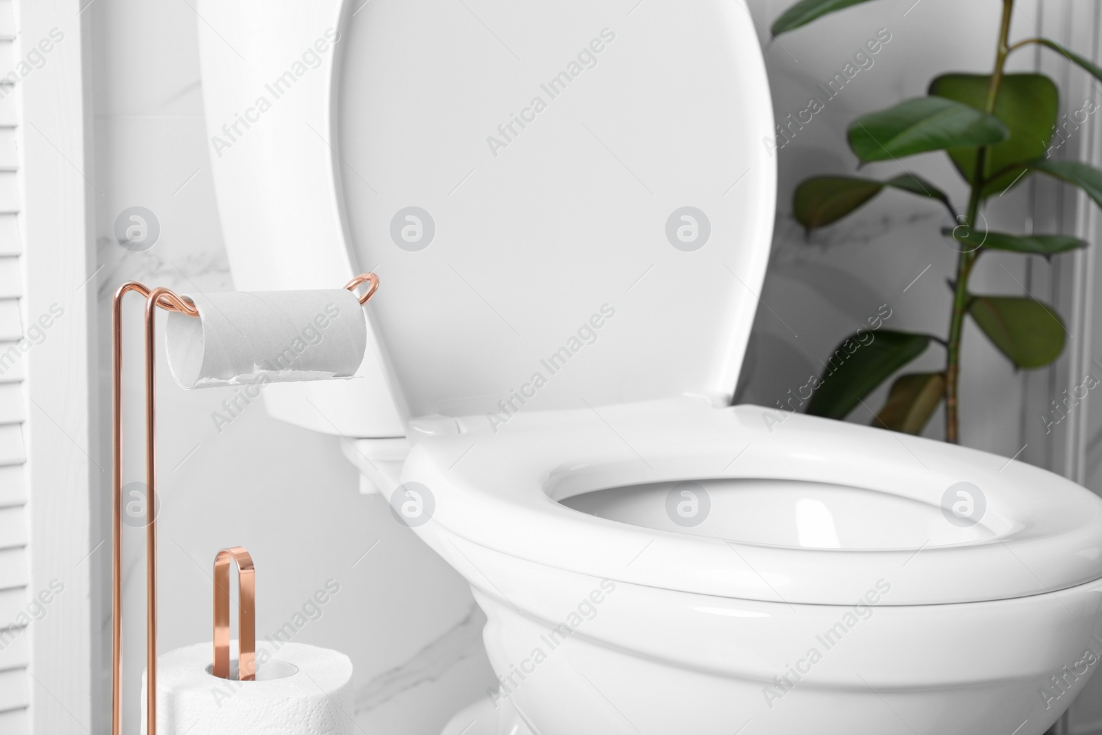 Photo of Holder with toilet paper rolls in bathroom