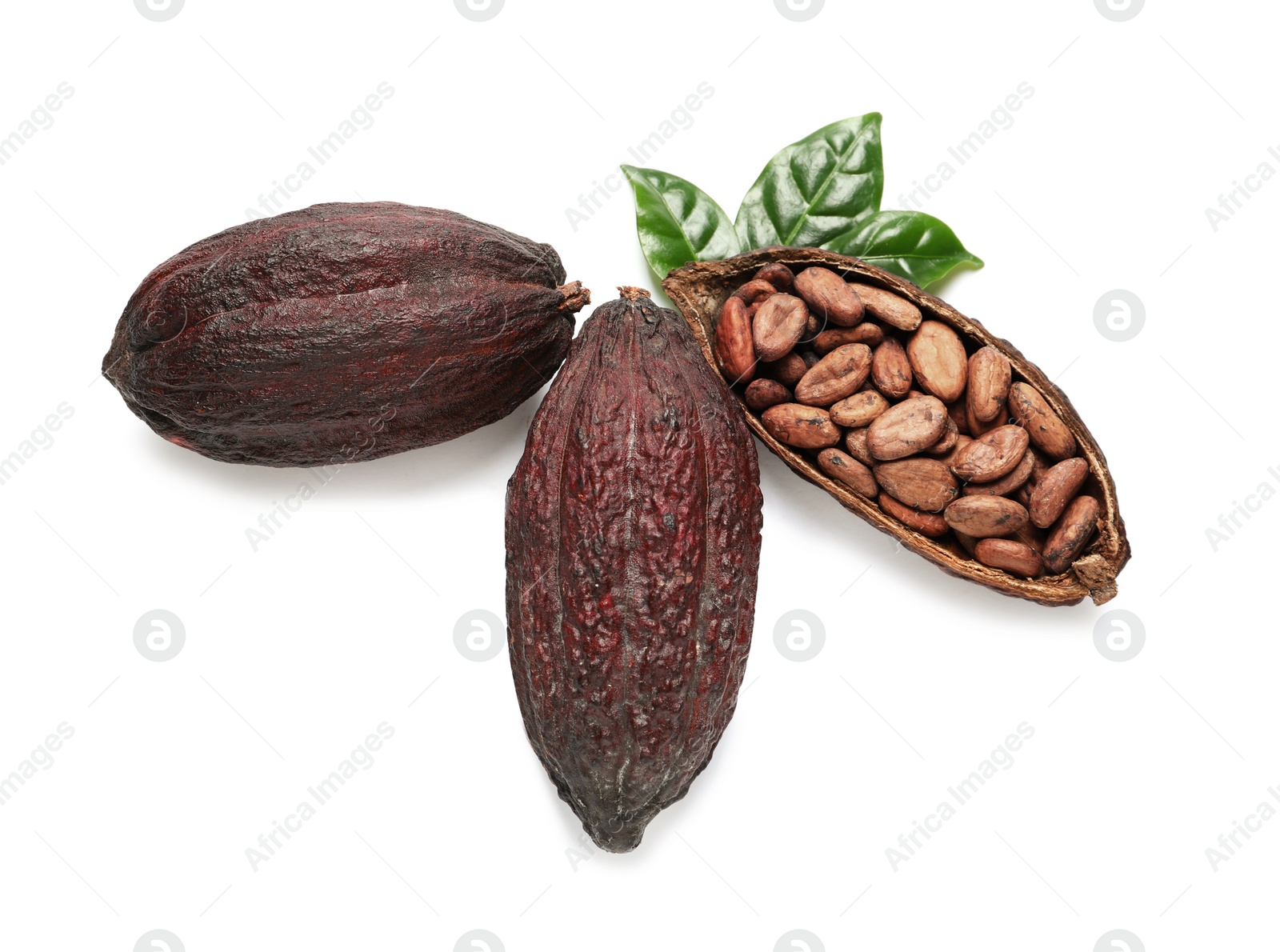 Photo of Composition with cocoa pods on white background, top view