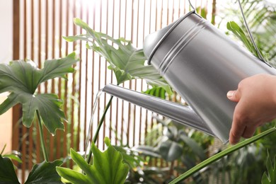 Photo of Woman watering beautiful house plant from can, closeup