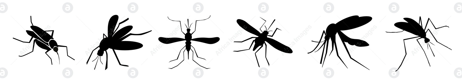 Image of Set of black mosquitoes on white background, banner design. Illustration