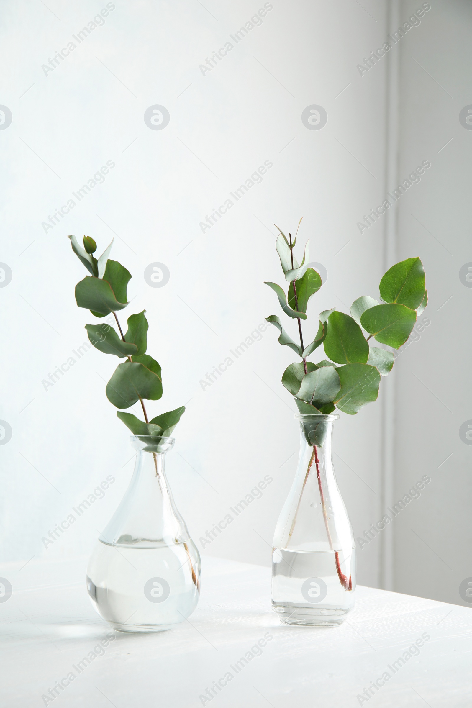 Photo of Eucalyptus branches with fresh leaves in vases on table