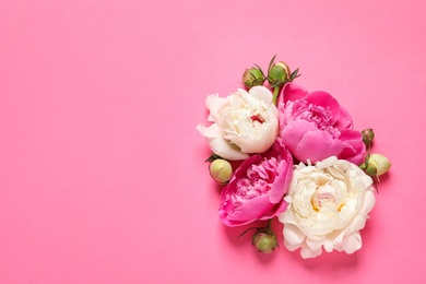 Photo of Beautiful peonies on color background, flat lay with space for text