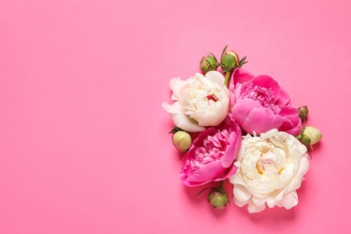 Beautiful peonies on color background, flat lay with space for text