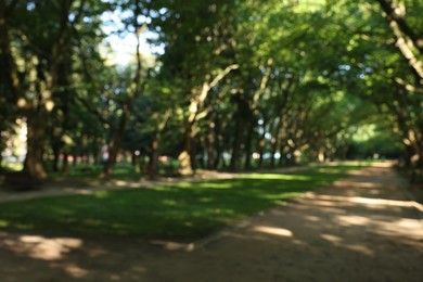 Blurred view of tranquil green park on sunny day