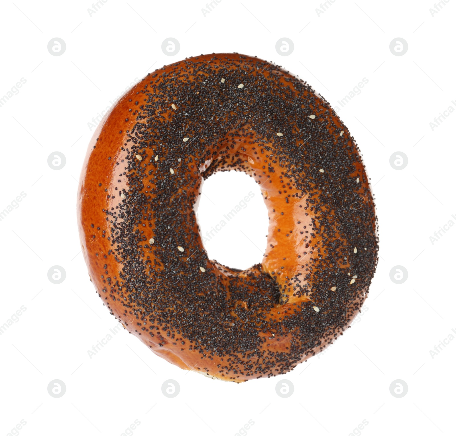 Photo of Delicious fresh bagel with poppy seeds isolated on white