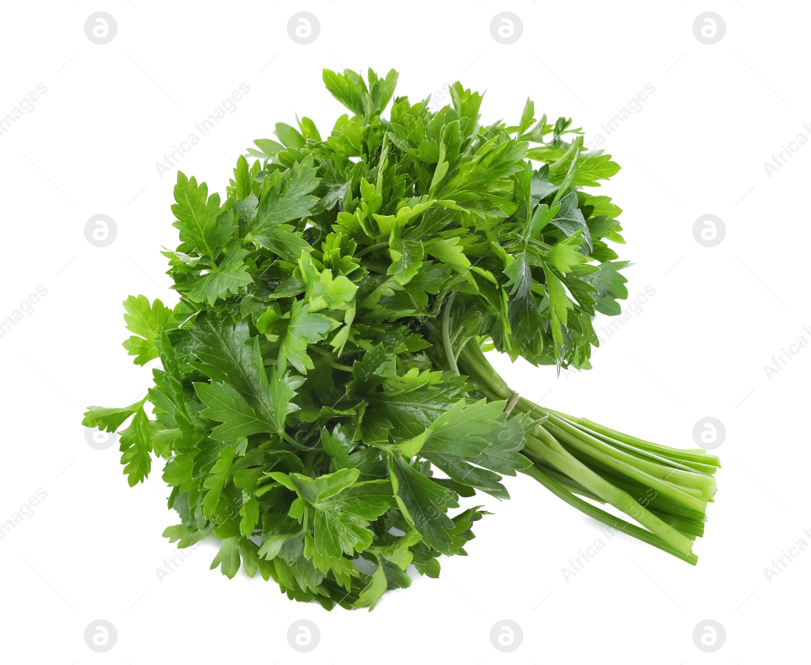 Photo of Bunch of fresh green parsley on white background