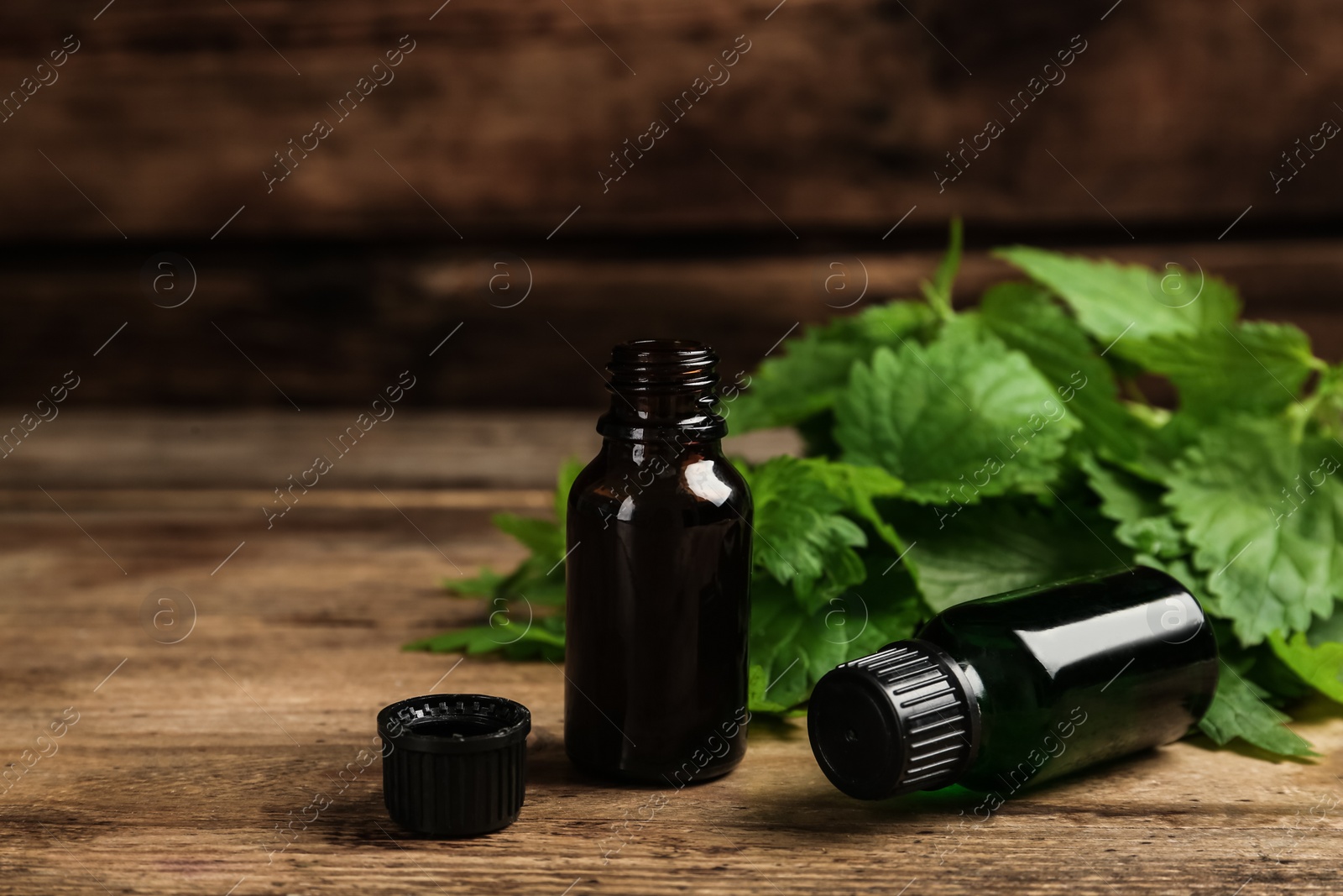 Photo of Glass bottles of nettle oil with leaves on wooden table