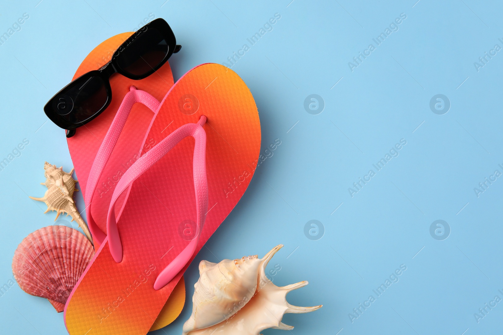 Photo of Sunglasses, flip flops and shells on light blue background, flat lay with space for text. Beach accessories