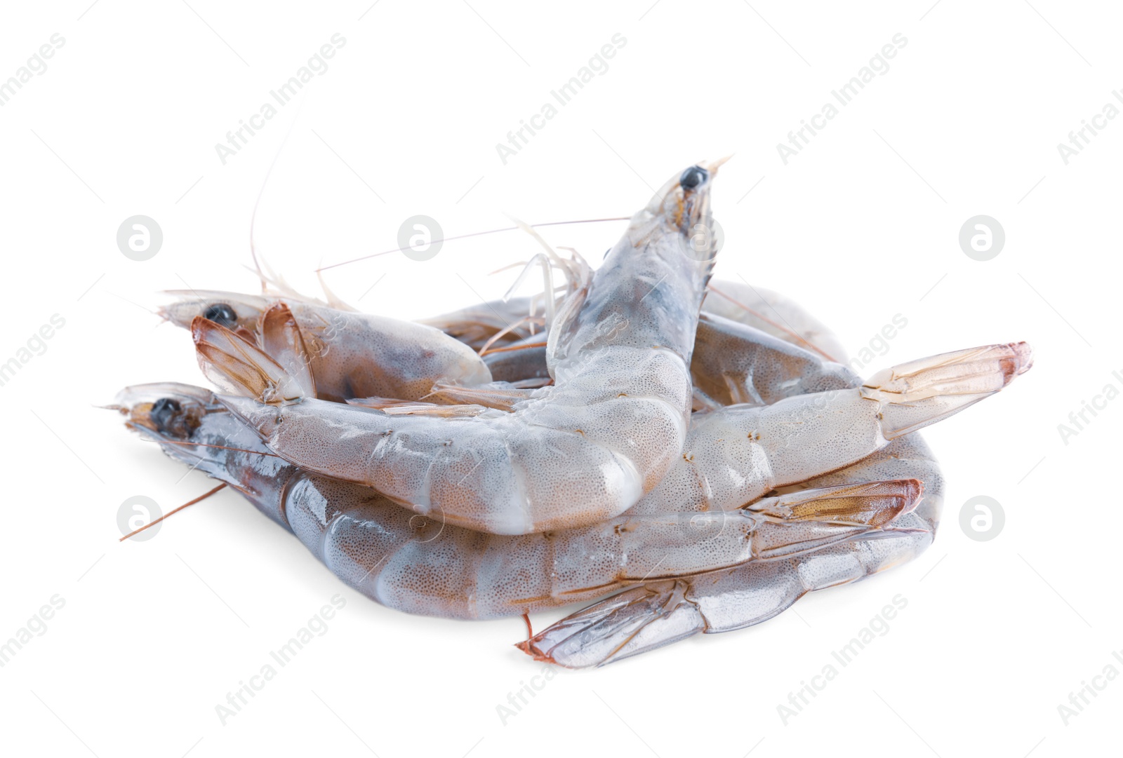 Photo of Fresh raw shrimps isolated on white. Healthy seafood